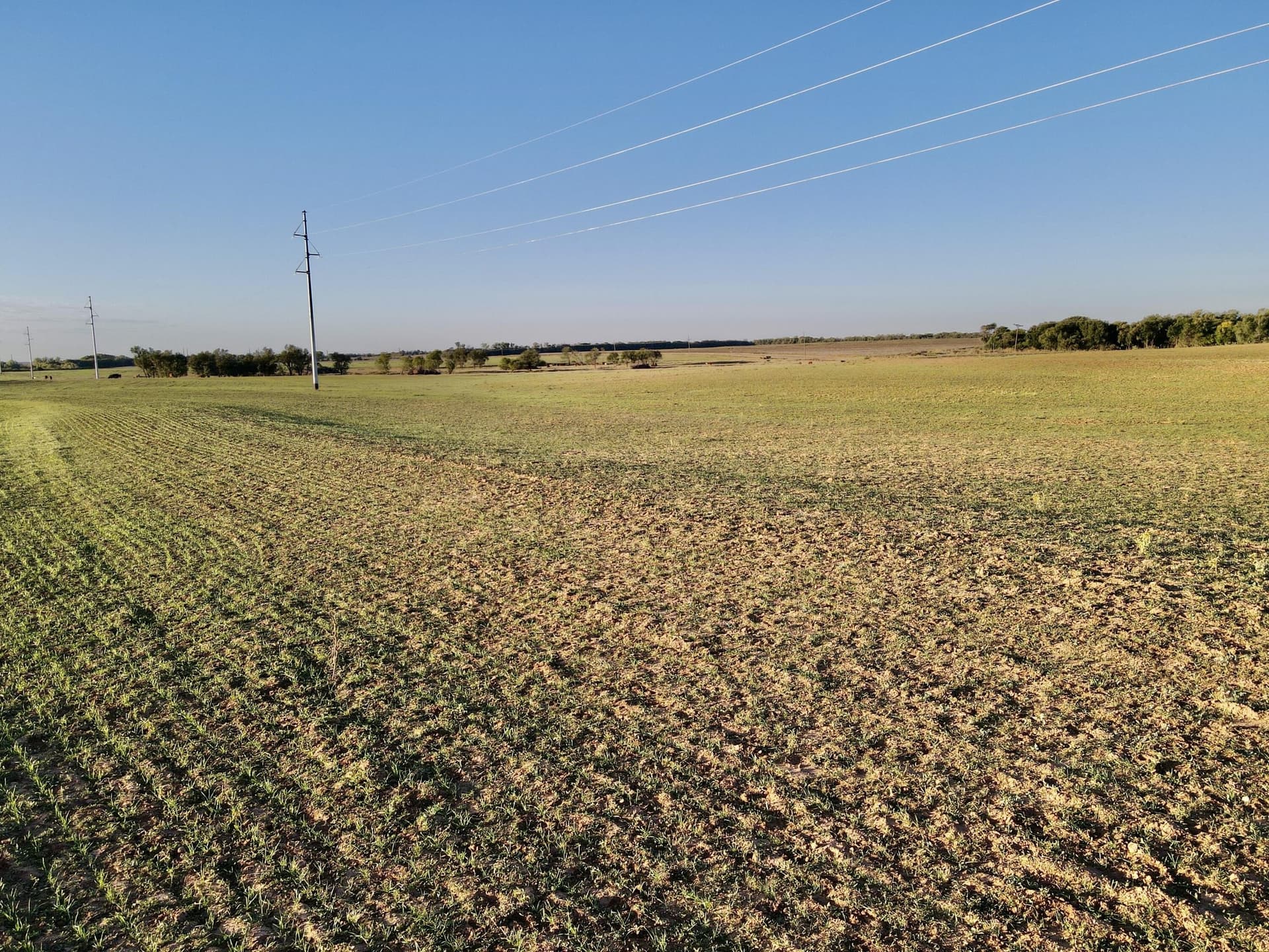 20 acres in Hall County gallery image 3