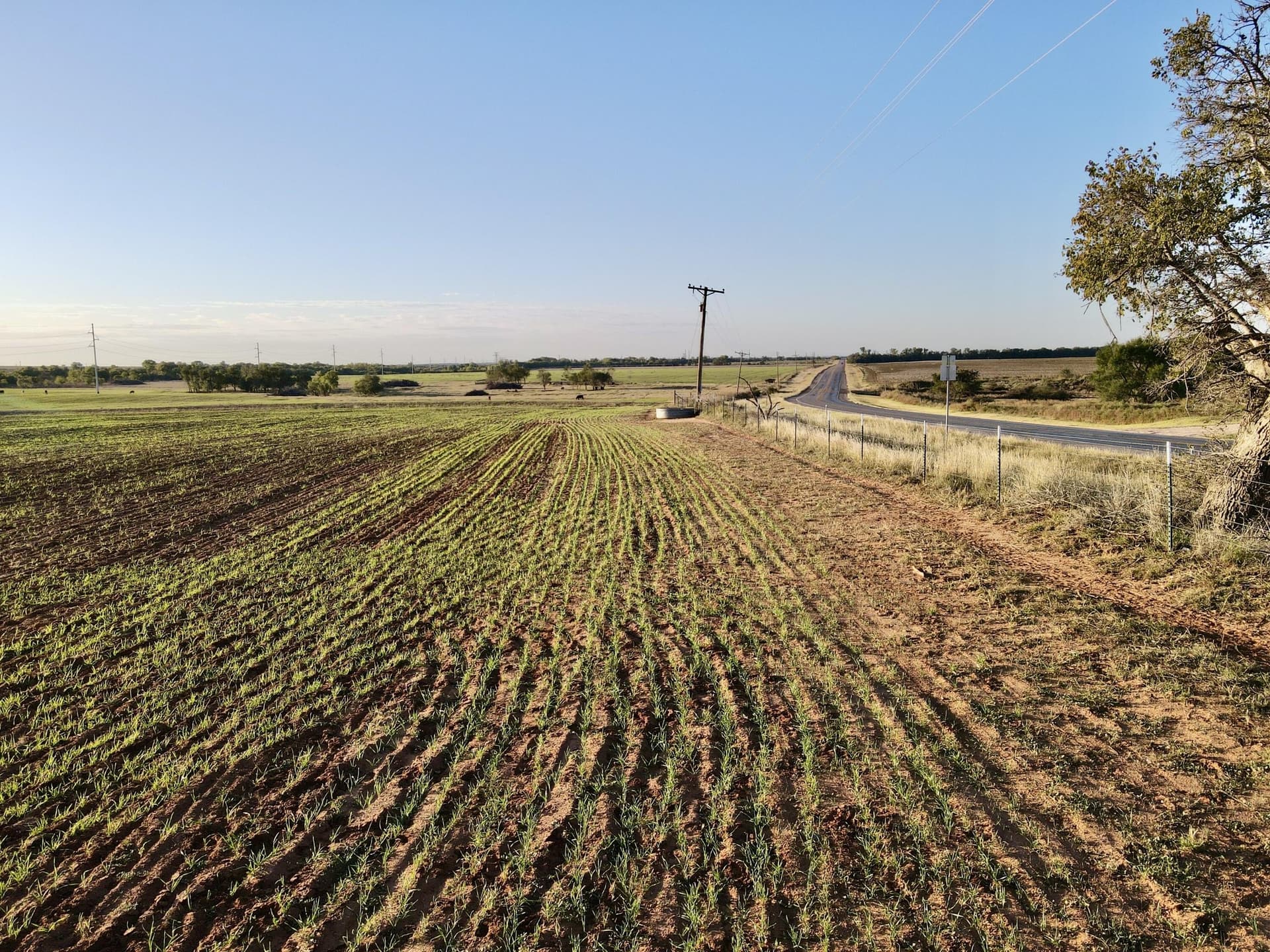 20 acres in Hall County featured view
