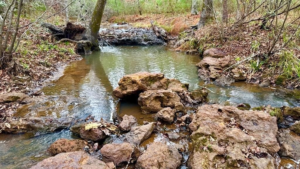 14.79 acres in Texas County featured view