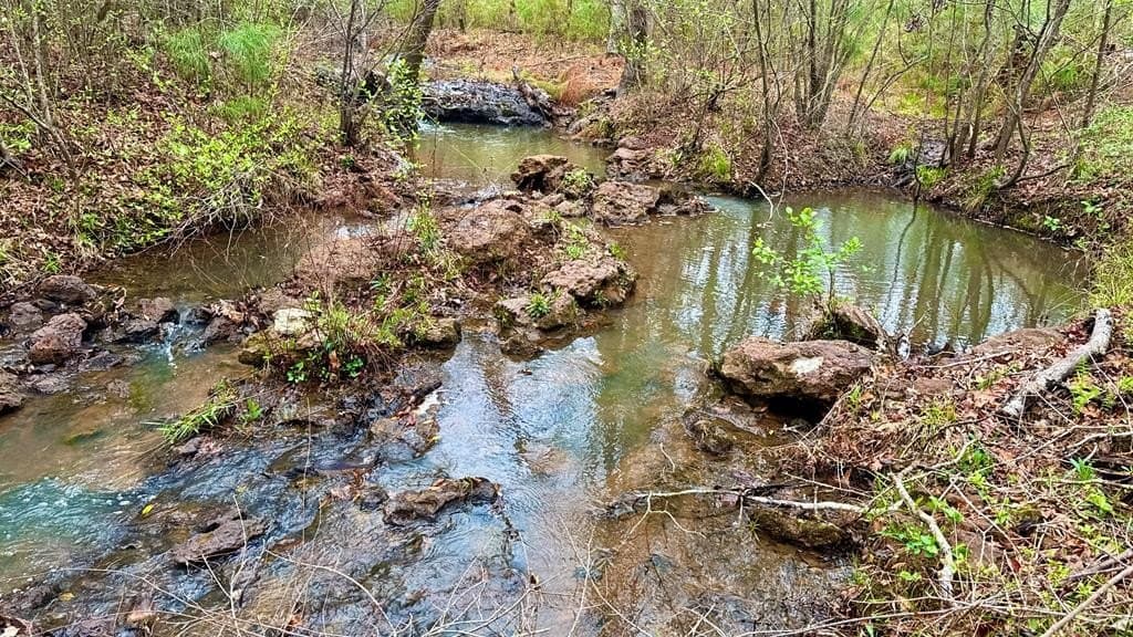 14.79 acres in Texas County gallery image 3