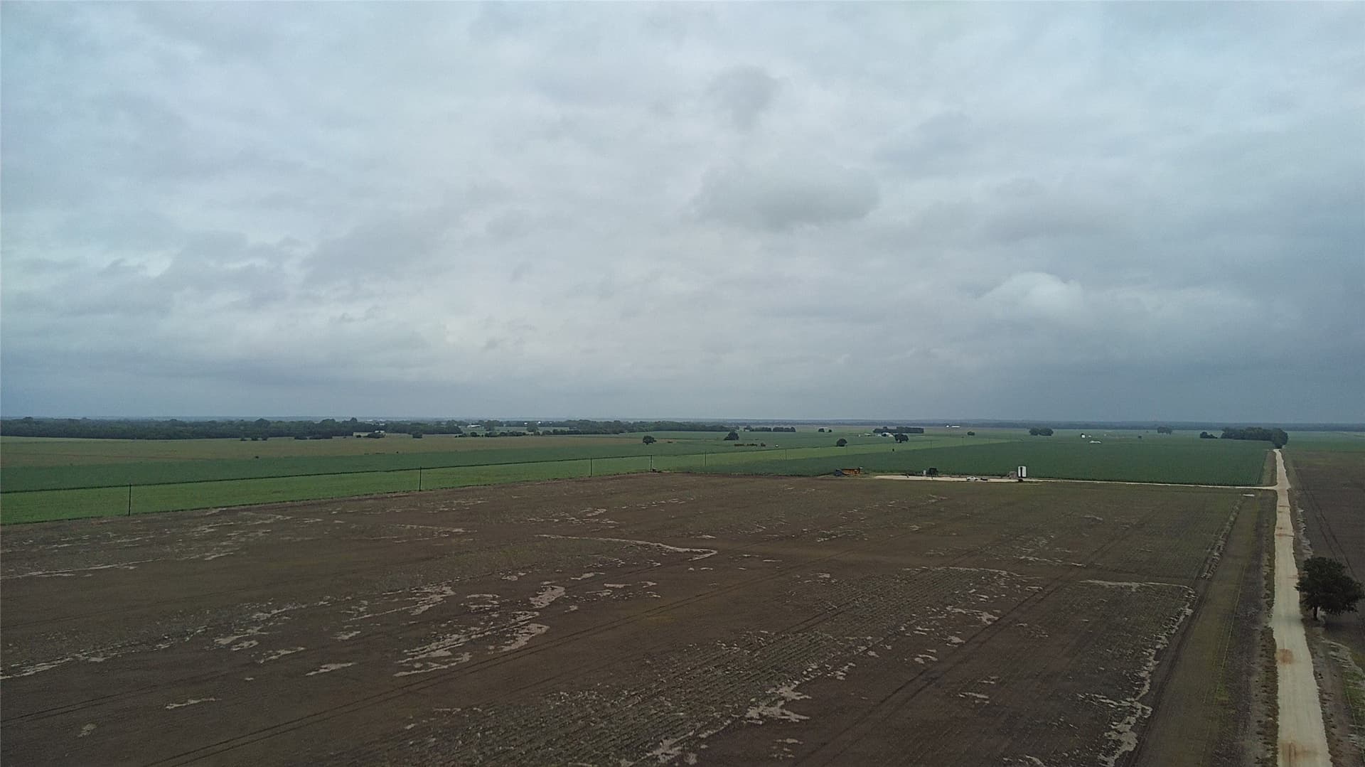 203 acres in Burleson County - photo 8