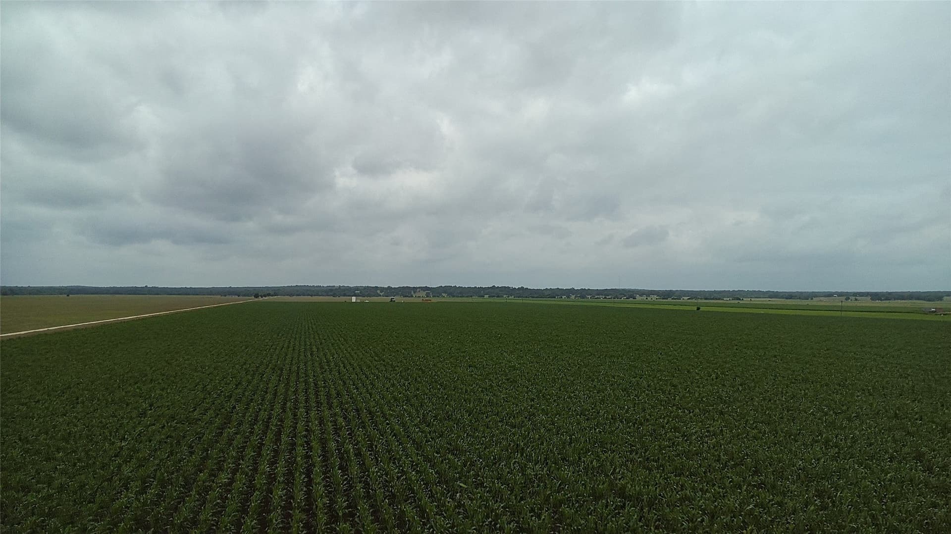203 acres in Burleson County - photo 23