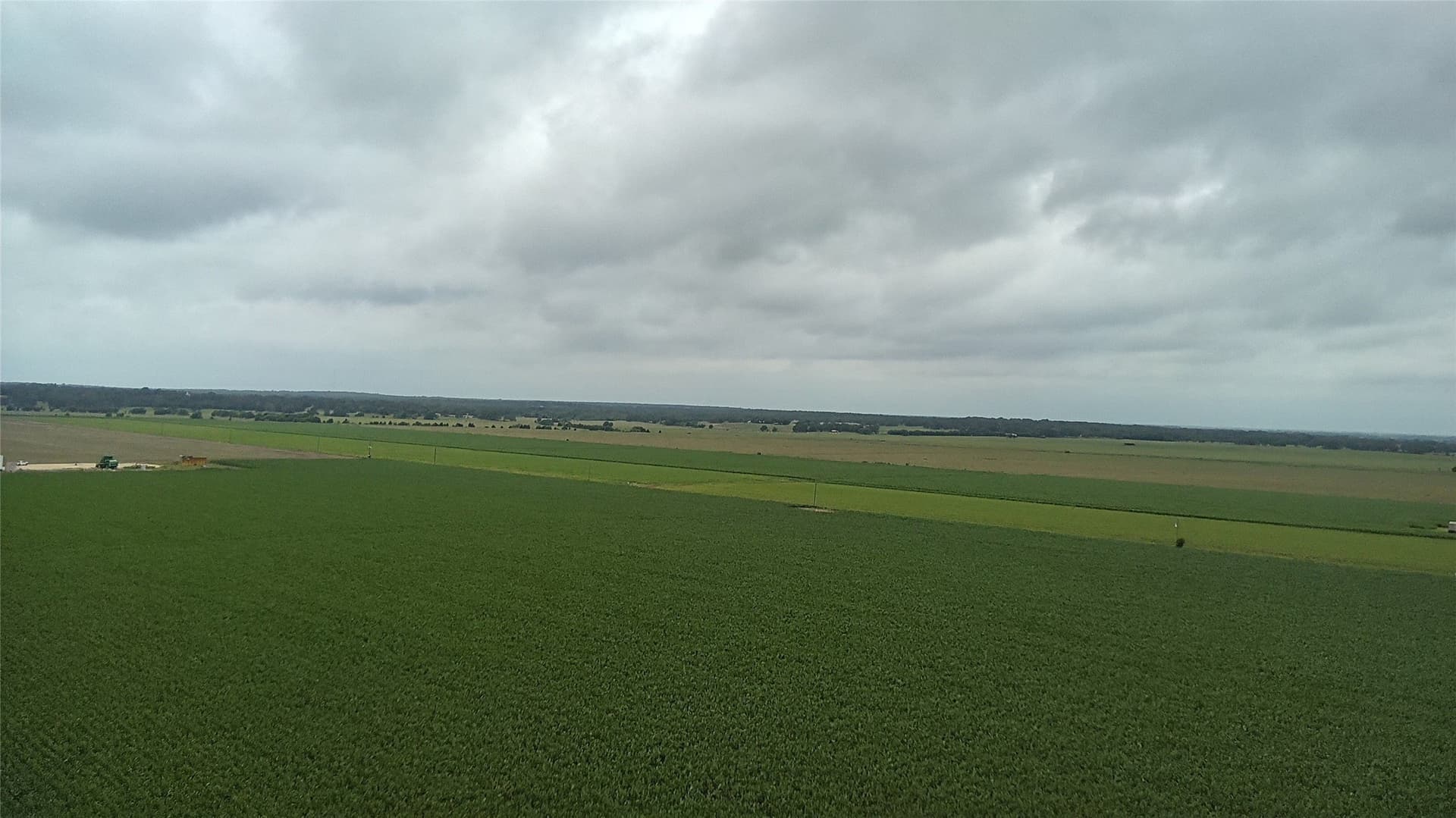 203 acres in Burleson County - photo 19
