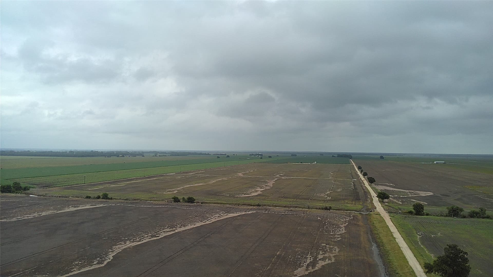 203 acres in Burleson County gallery image 4