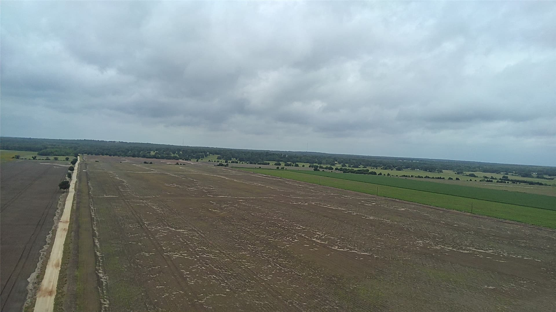 203 acres in Burleson County - photo 14