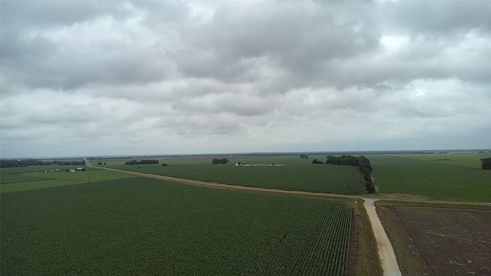 203 acres in Burleson County - photo 18