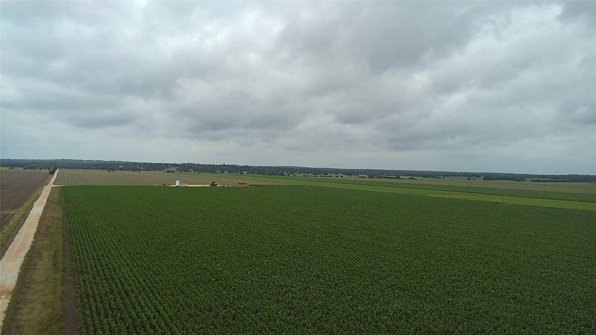 203 acres in Burleson County - photo 17
