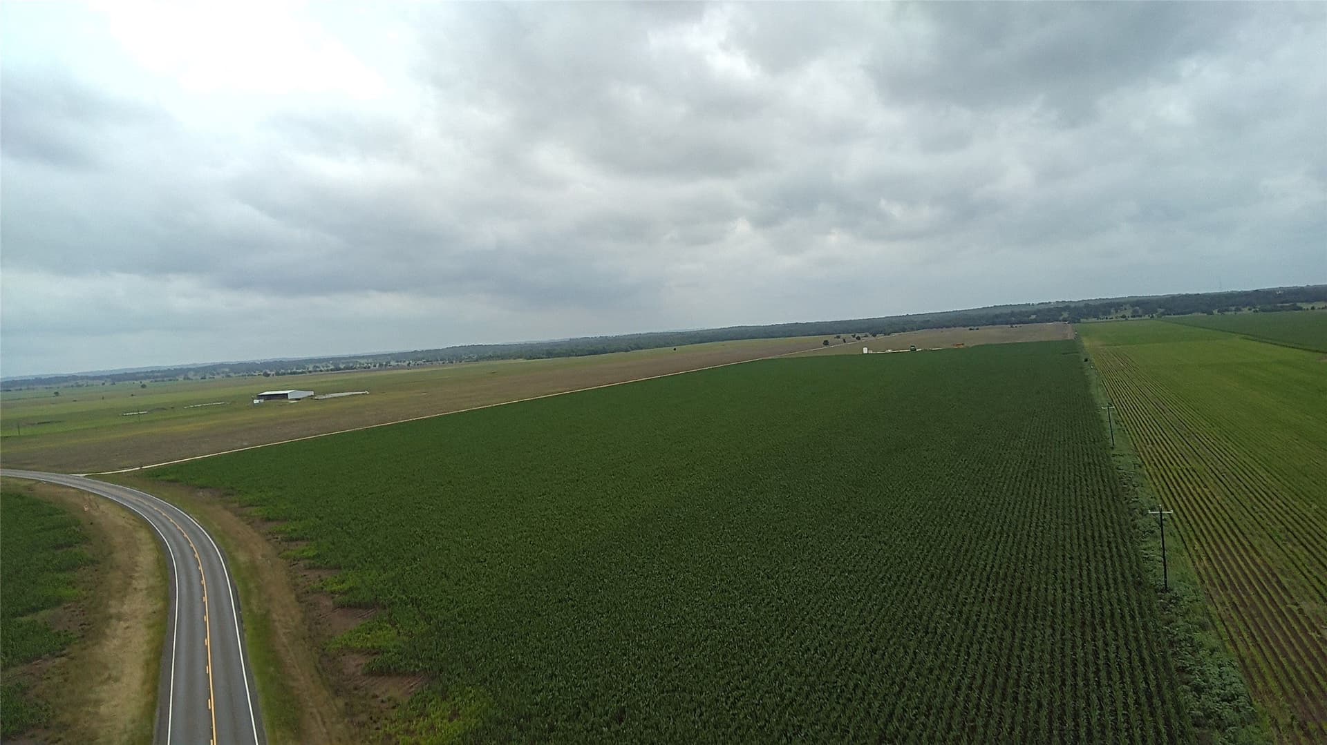 203 acres in Burleson County - photo 24