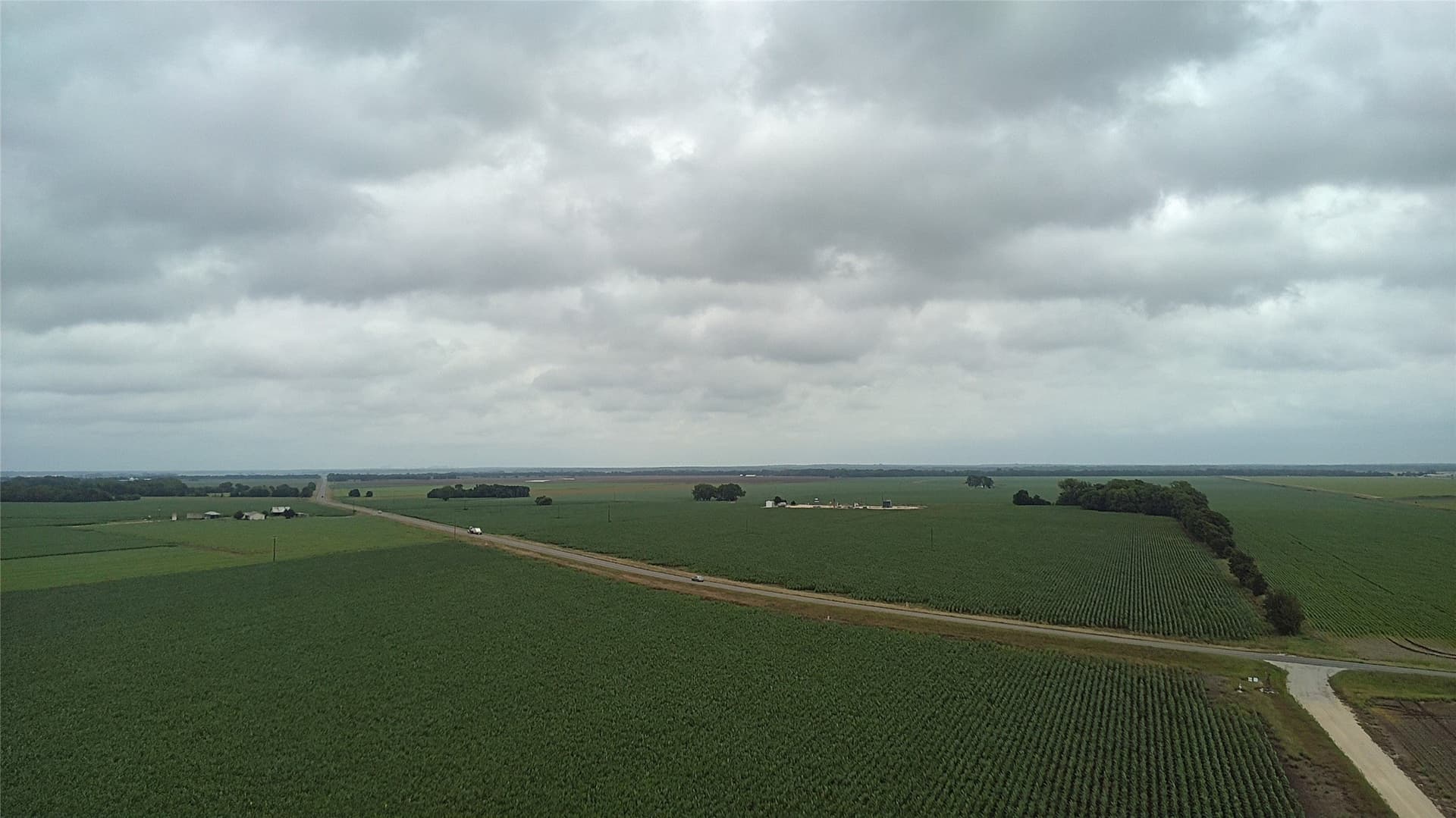 203 acres in Burleson County - photo 20