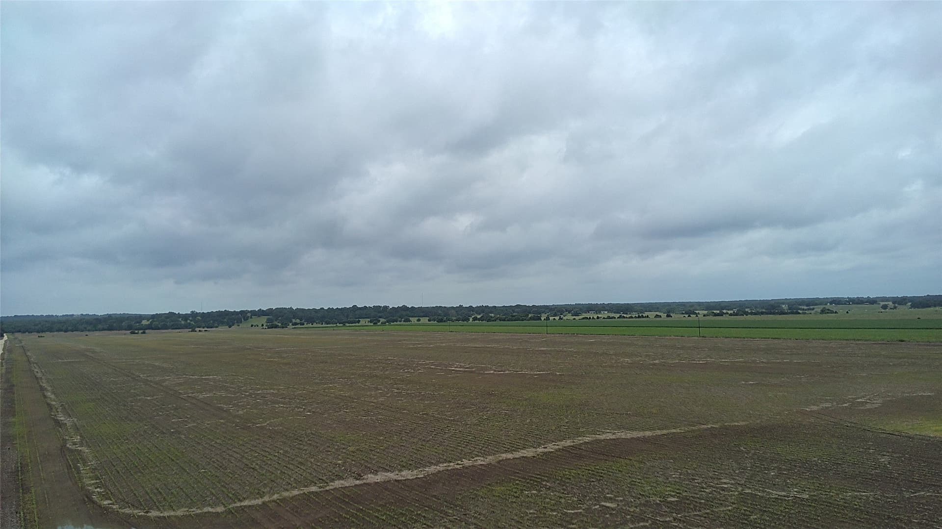 203 acres in Burleson County - photo 15