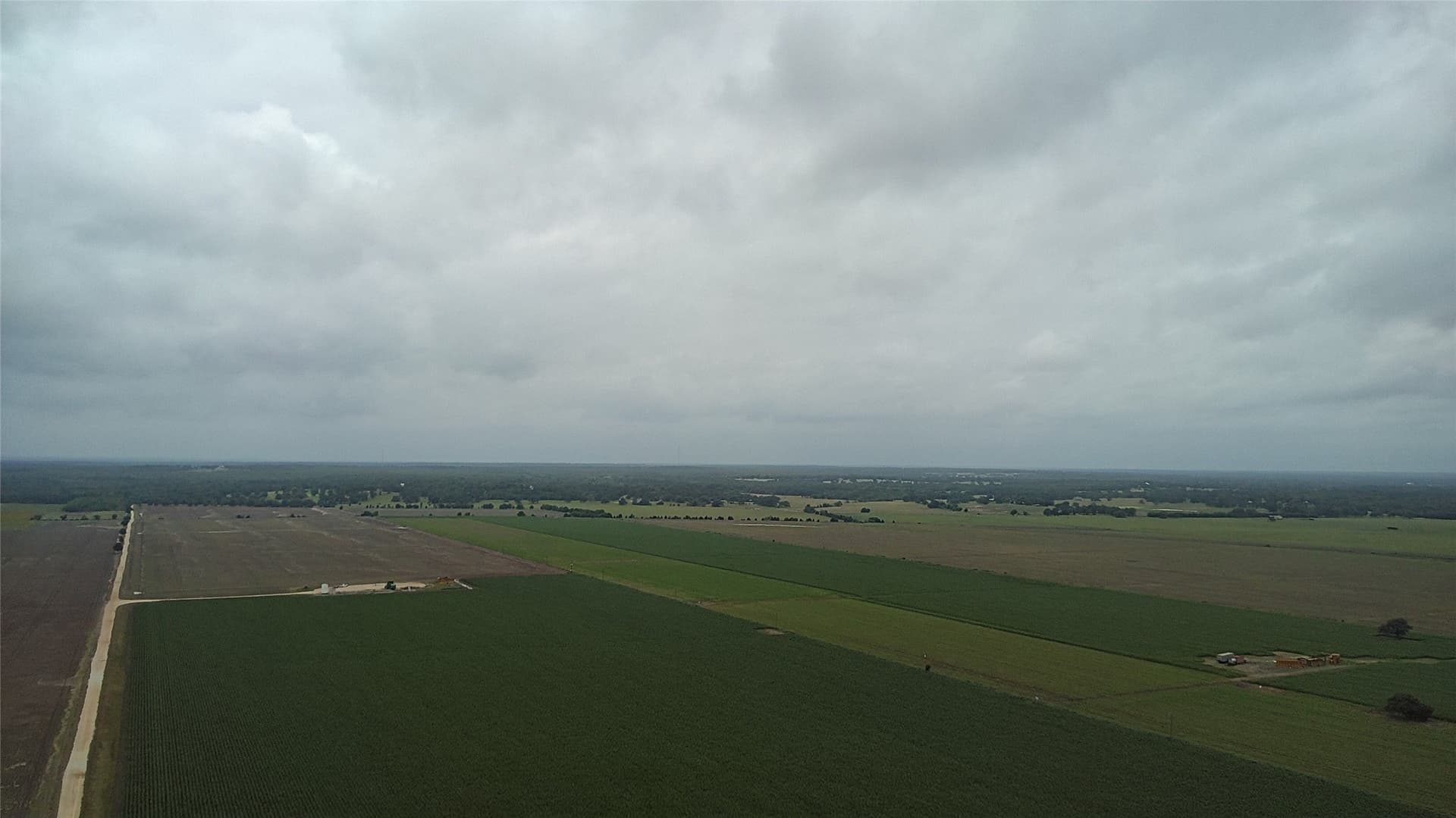 203 acres in Burleson County - photo 22