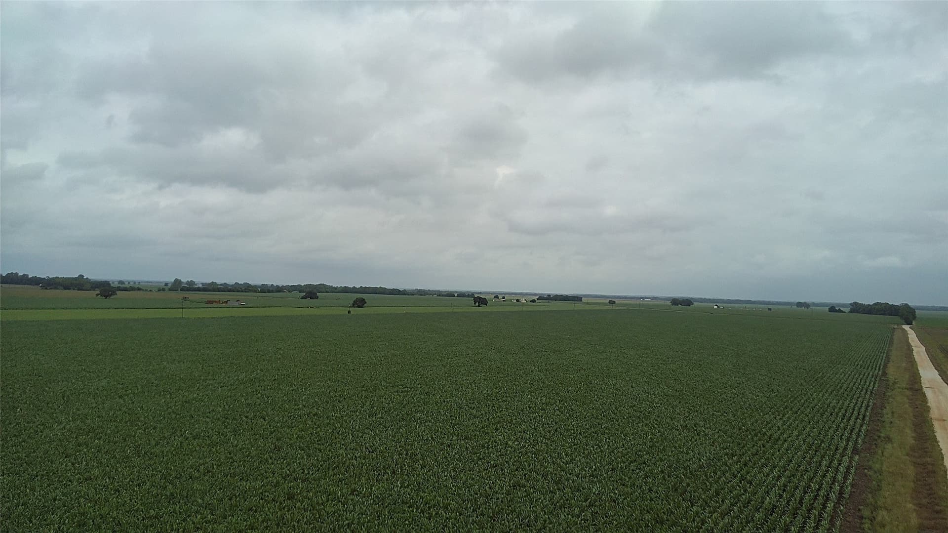 203 acres in Burleson County - photo 13