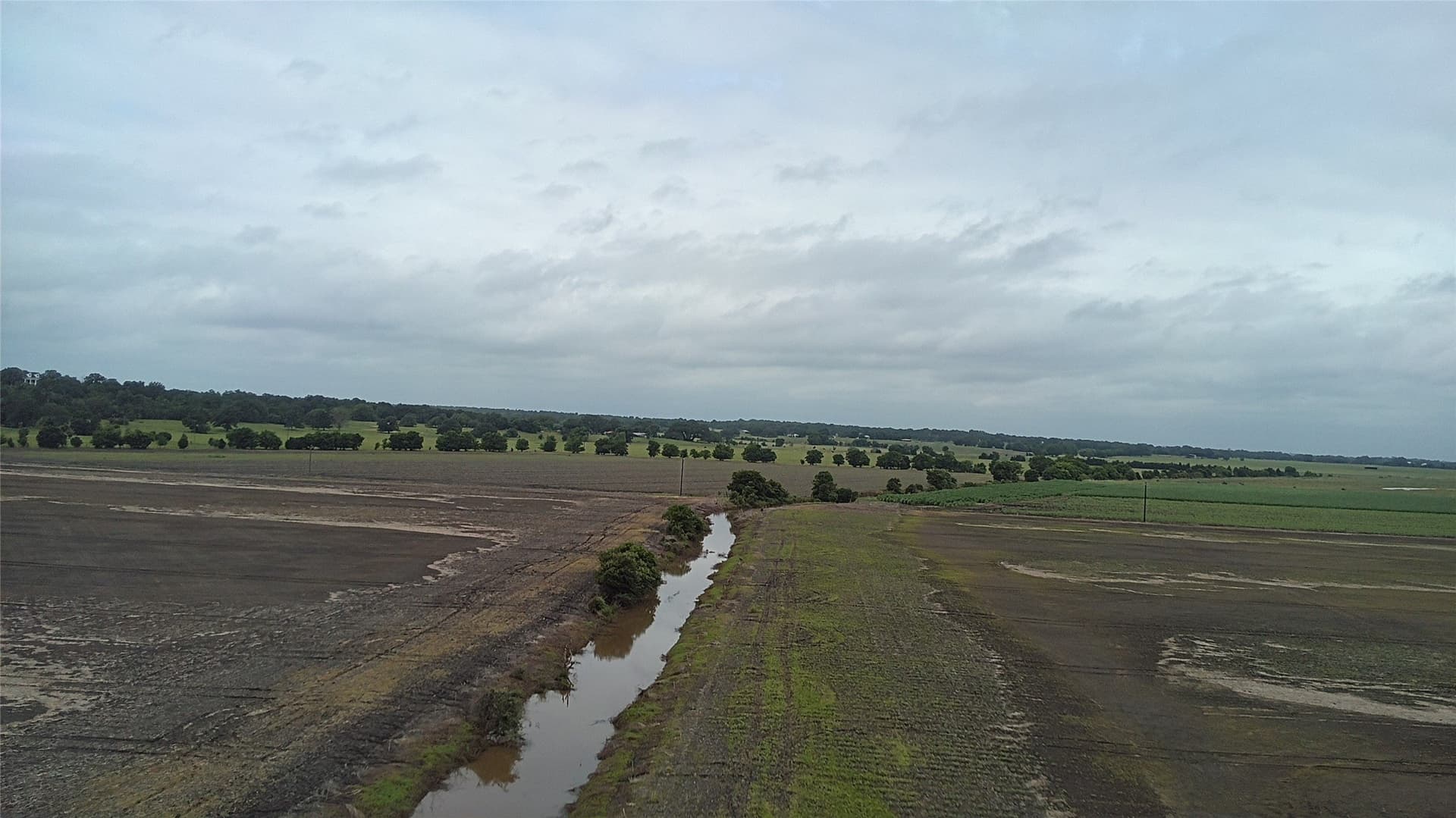 203 acres in Burleson County featured view