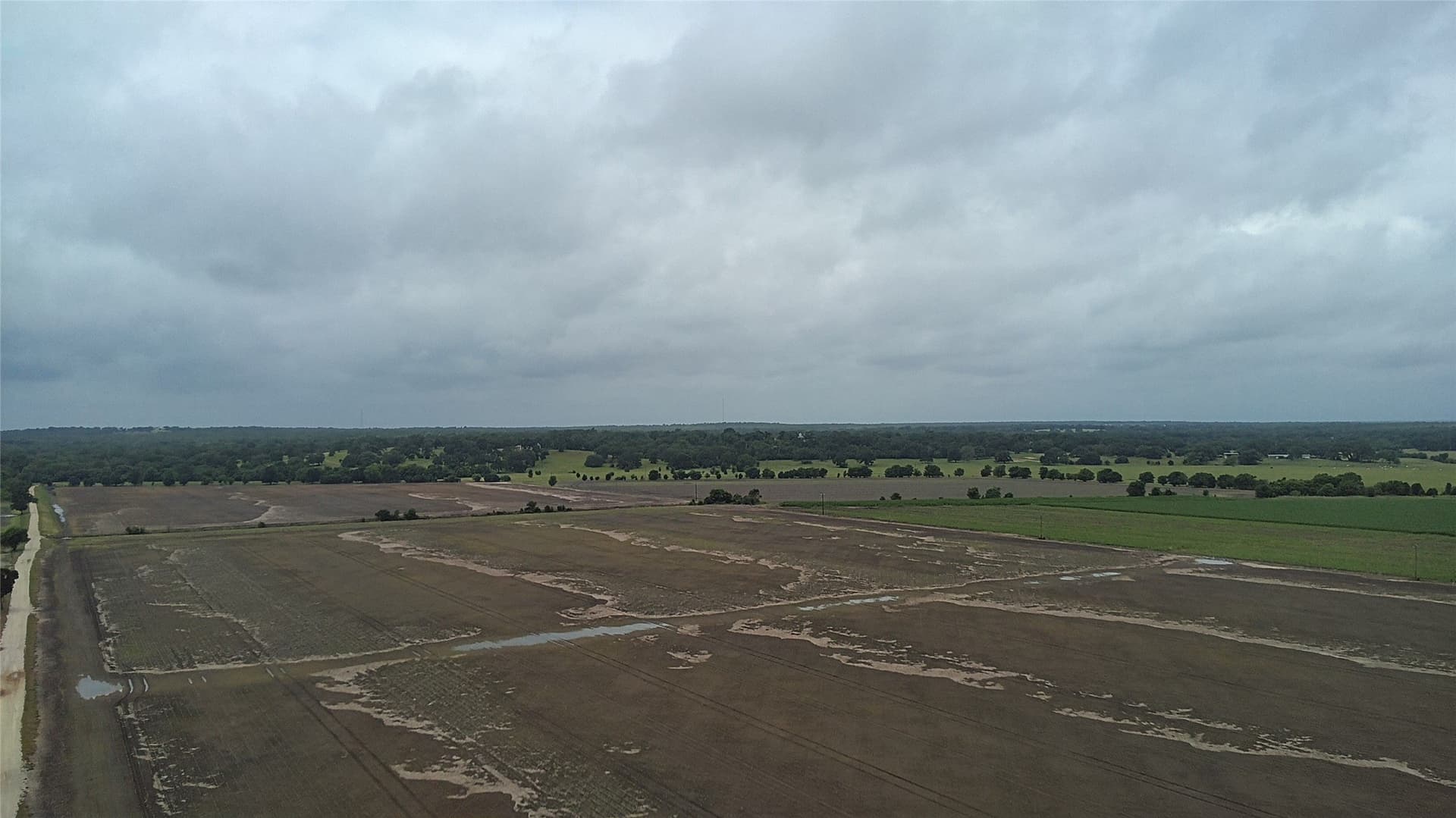 203 acres in Burleson County - photo 9