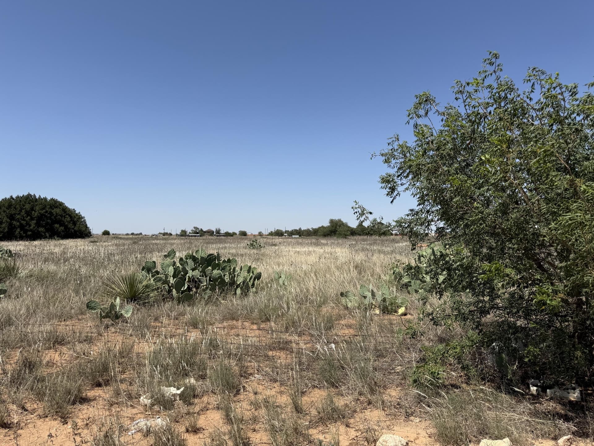 3.2 acres in Lubbock County gallery image 3