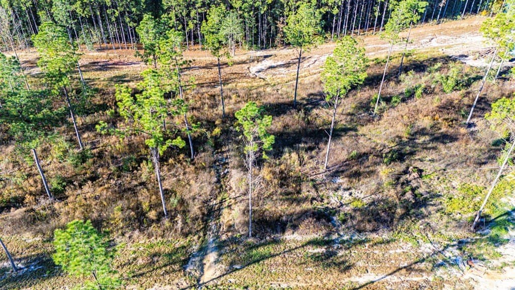 5.42 acres in Texas County - photo 9