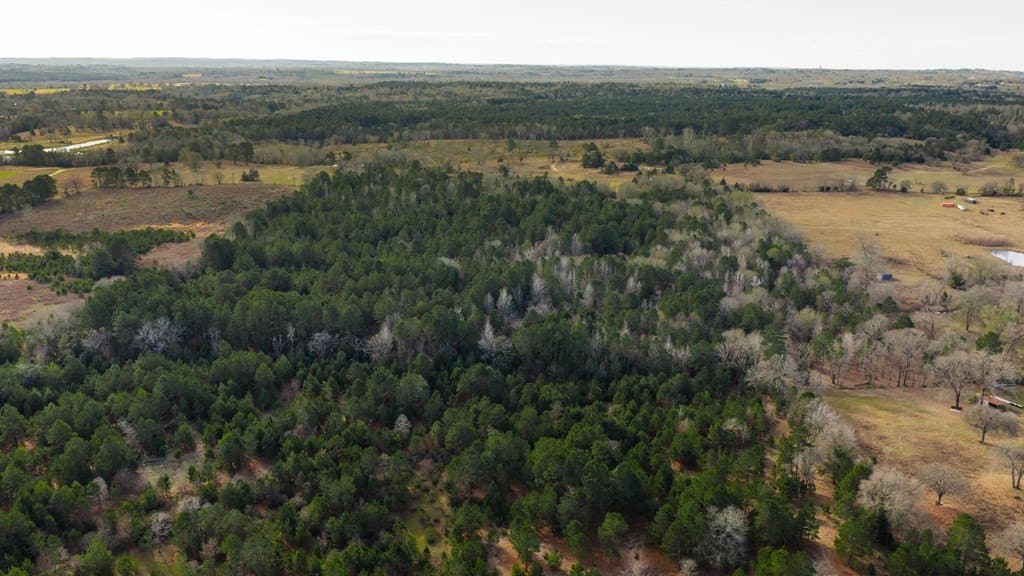59.05 acres in ANDERSON County - photo 30