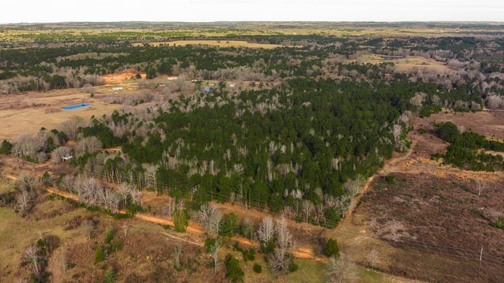 59.05 acres in ANDERSON County - photo 26