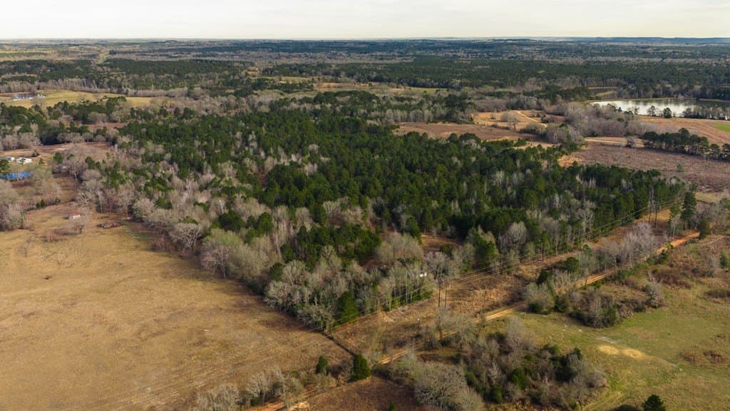 59.05 acres in ANDERSON County - photo 28