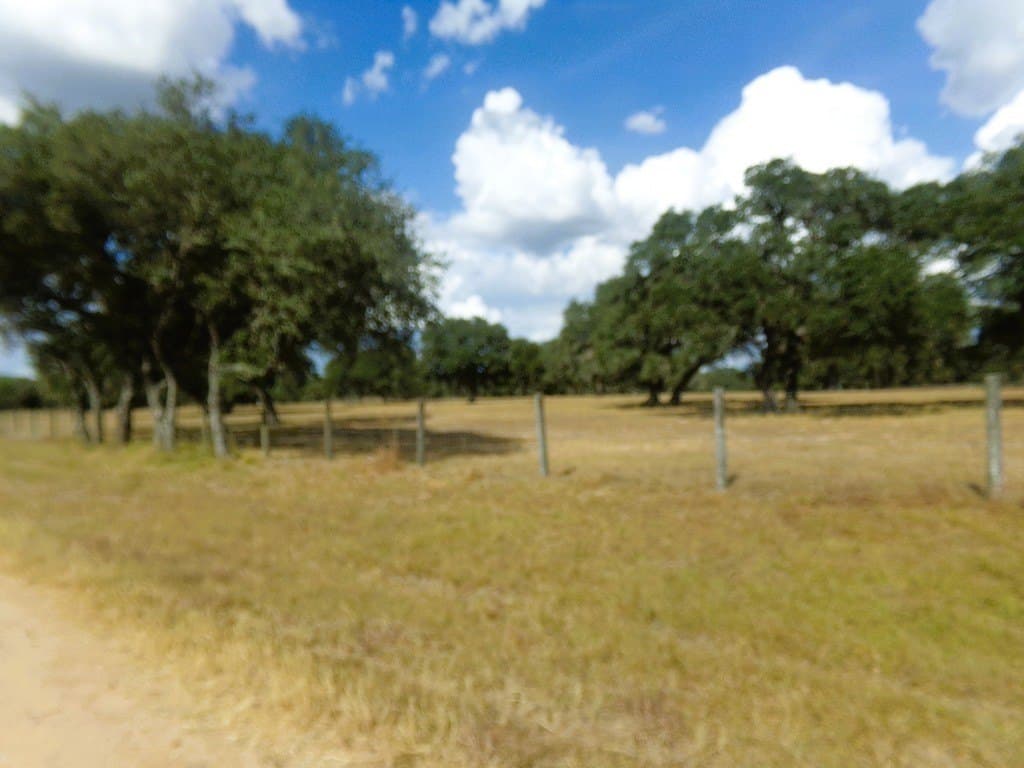 30.37 acres in Lavaca County - photo 26