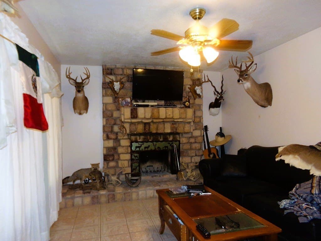 30.37 acres in Lavaca County gallery image 4
