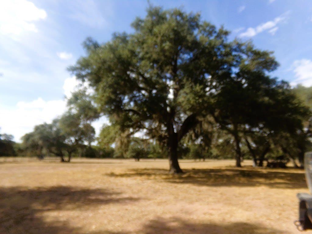 30.37 acres in Lavaca County - photo 24