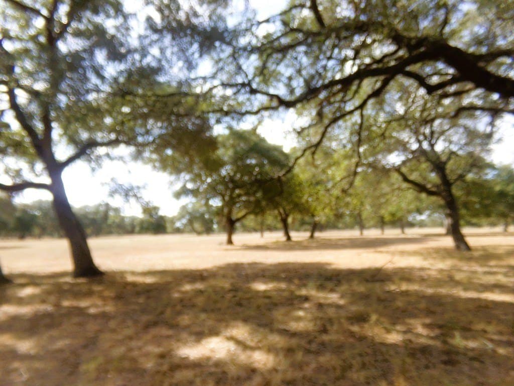 30.37 acres in Lavaca County - photo 25
