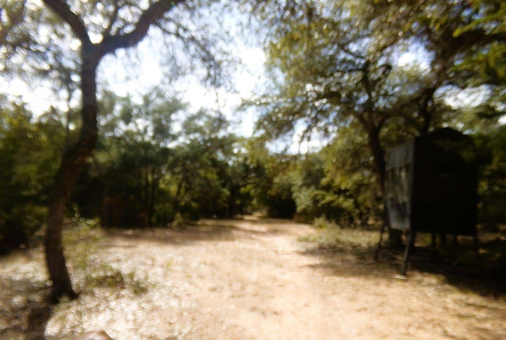 30.37 acres in Lavaca County - photo 19