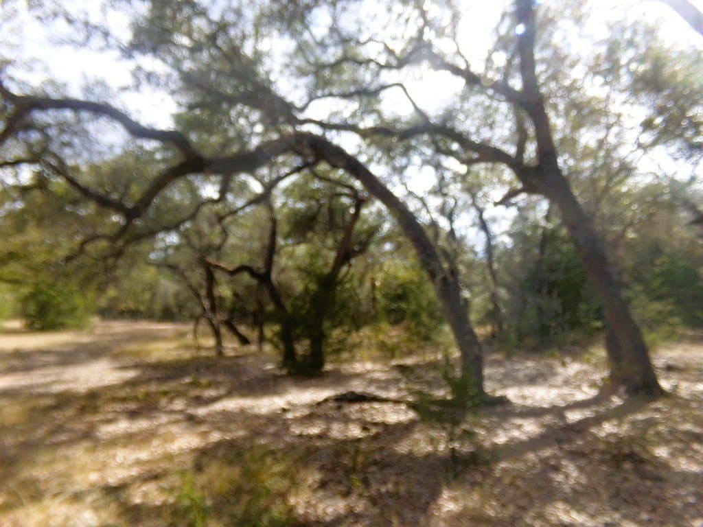 30.37 acres in Lavaca County - photo 16