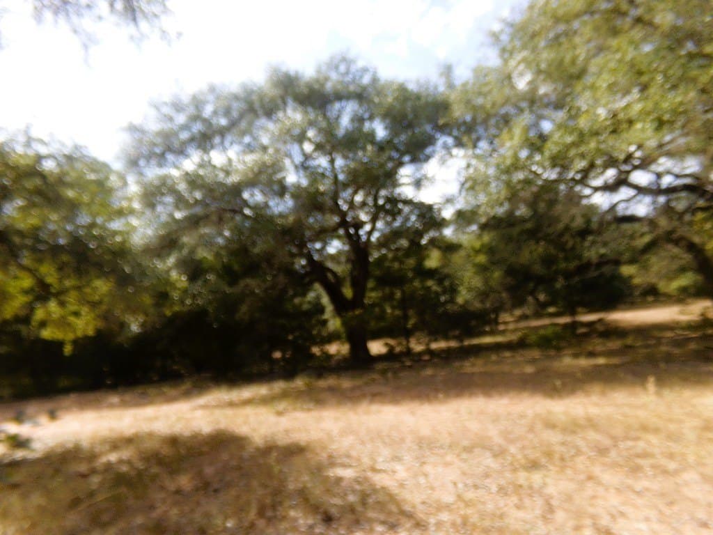 30.37 acres in Lavaca County - photo 23