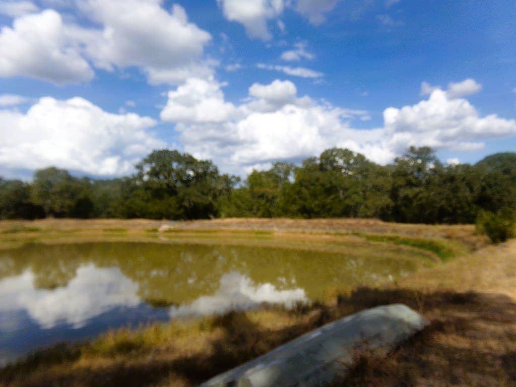 30.37 acres in Lavaca County - photo 21