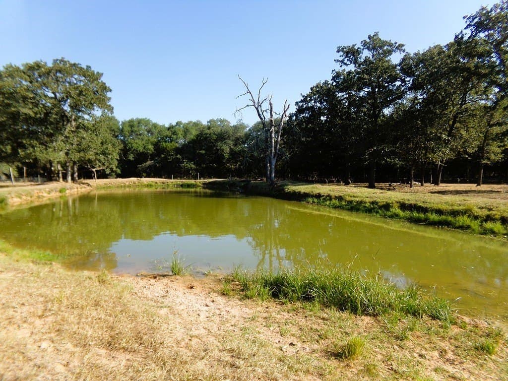 30.37 acres in Lavaca County - photo 15