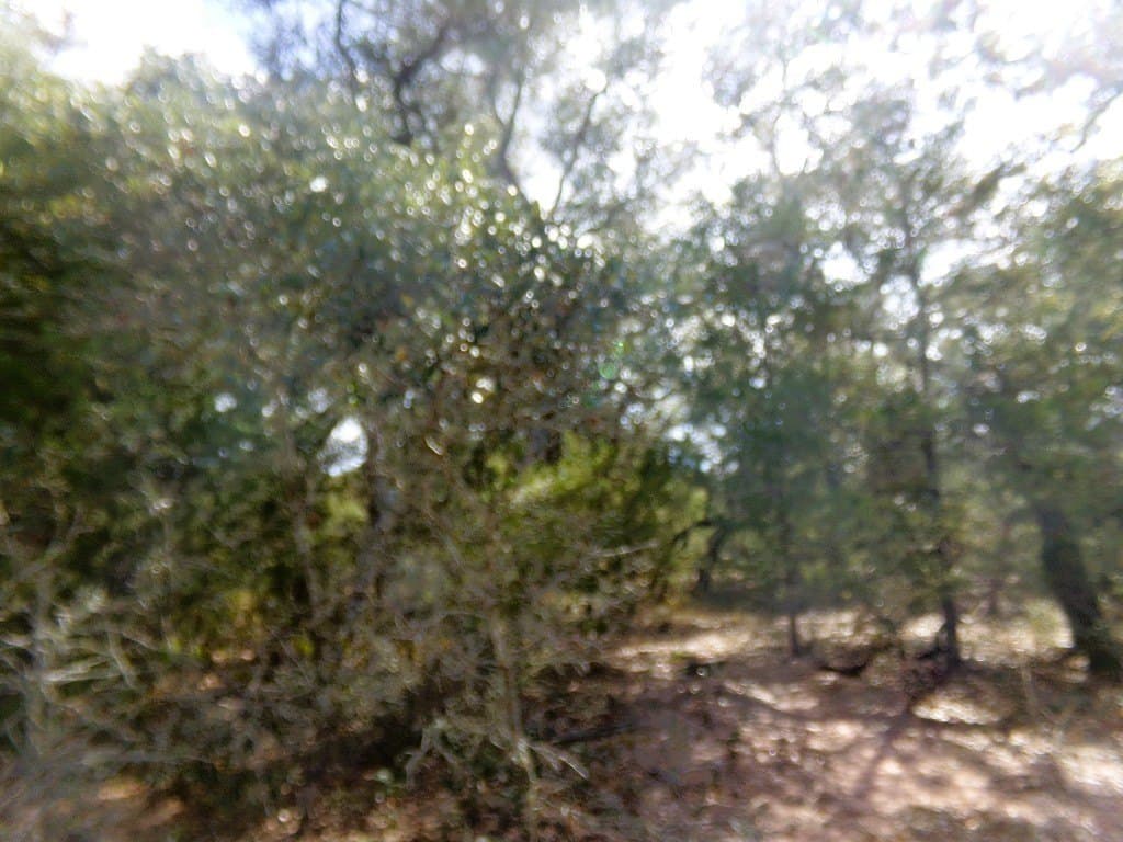 30.37 acres in Lavaca County - photo 17