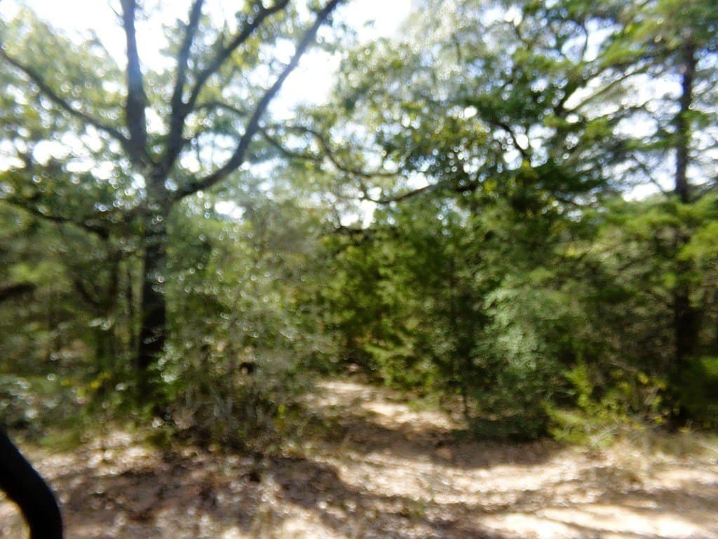 30.37 acres in Lavaca County - photo 18