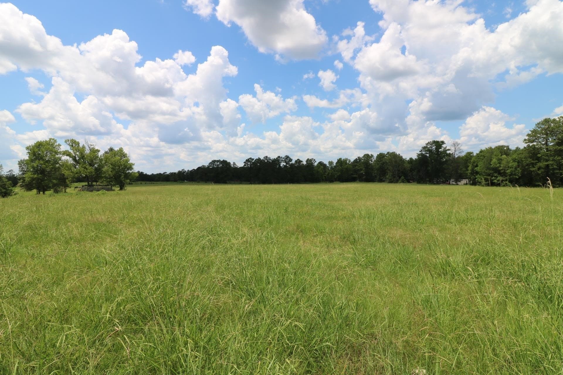 40 acres in Texas County gallery image 4