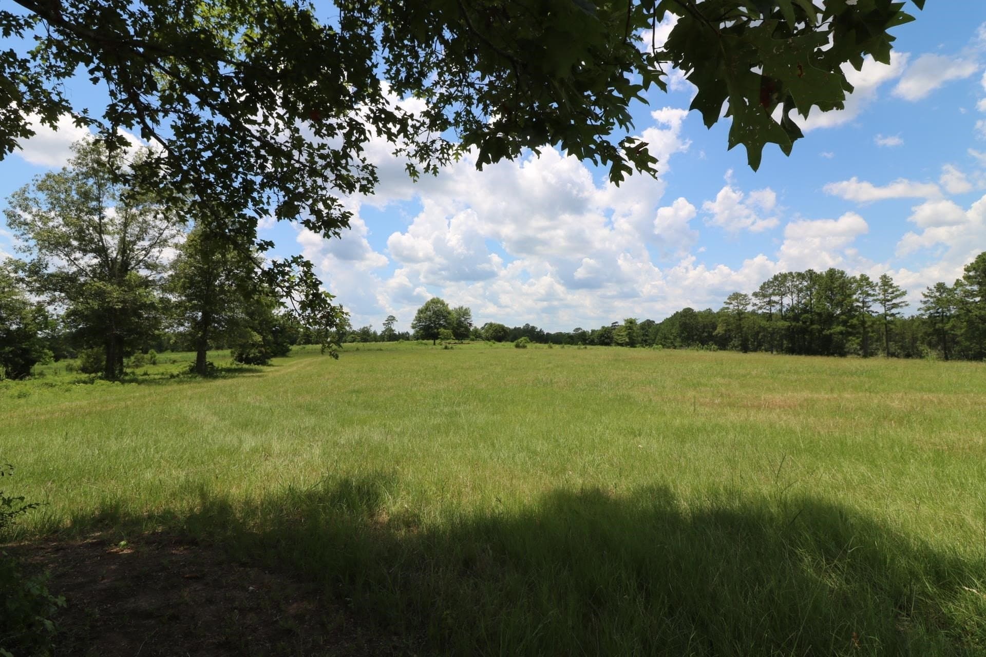 40 acres in Texas County featured view