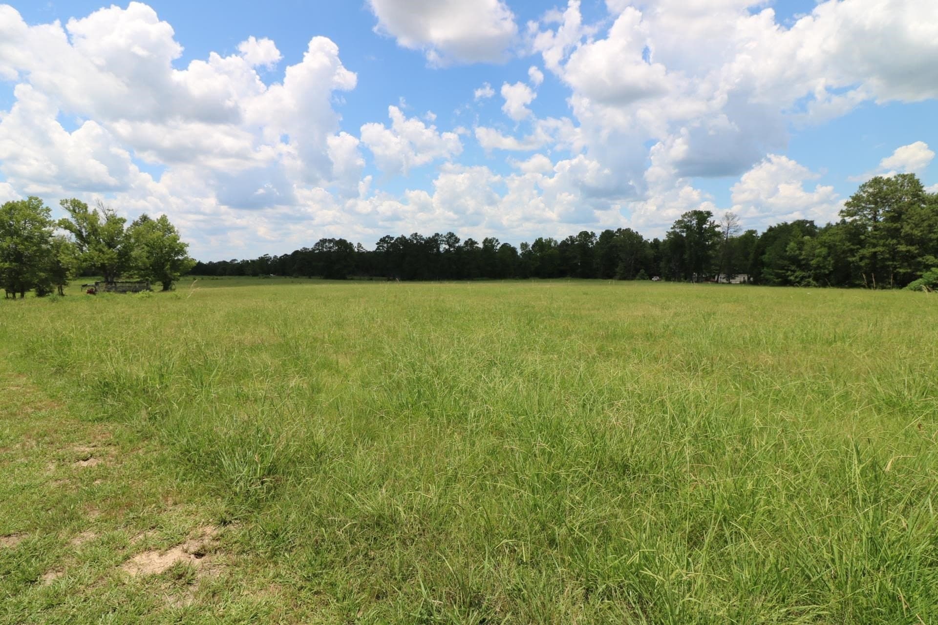 40 acres in Texas County gallery image 3