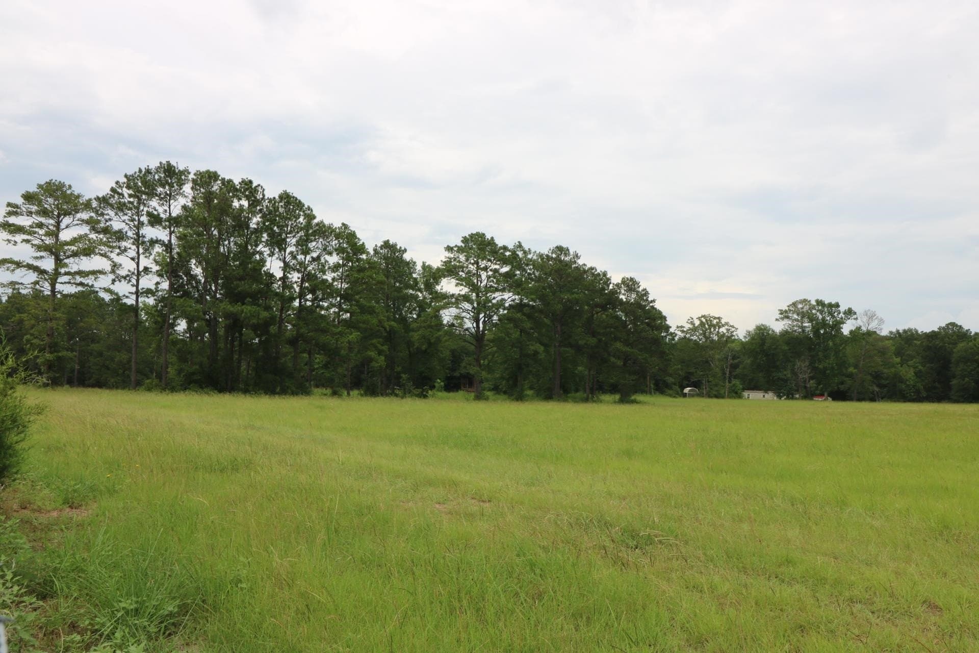 40 acres in Texas County gallery image 2