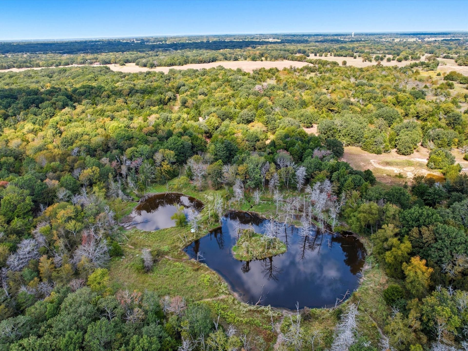 49 acres in Kaufman County - photo 10