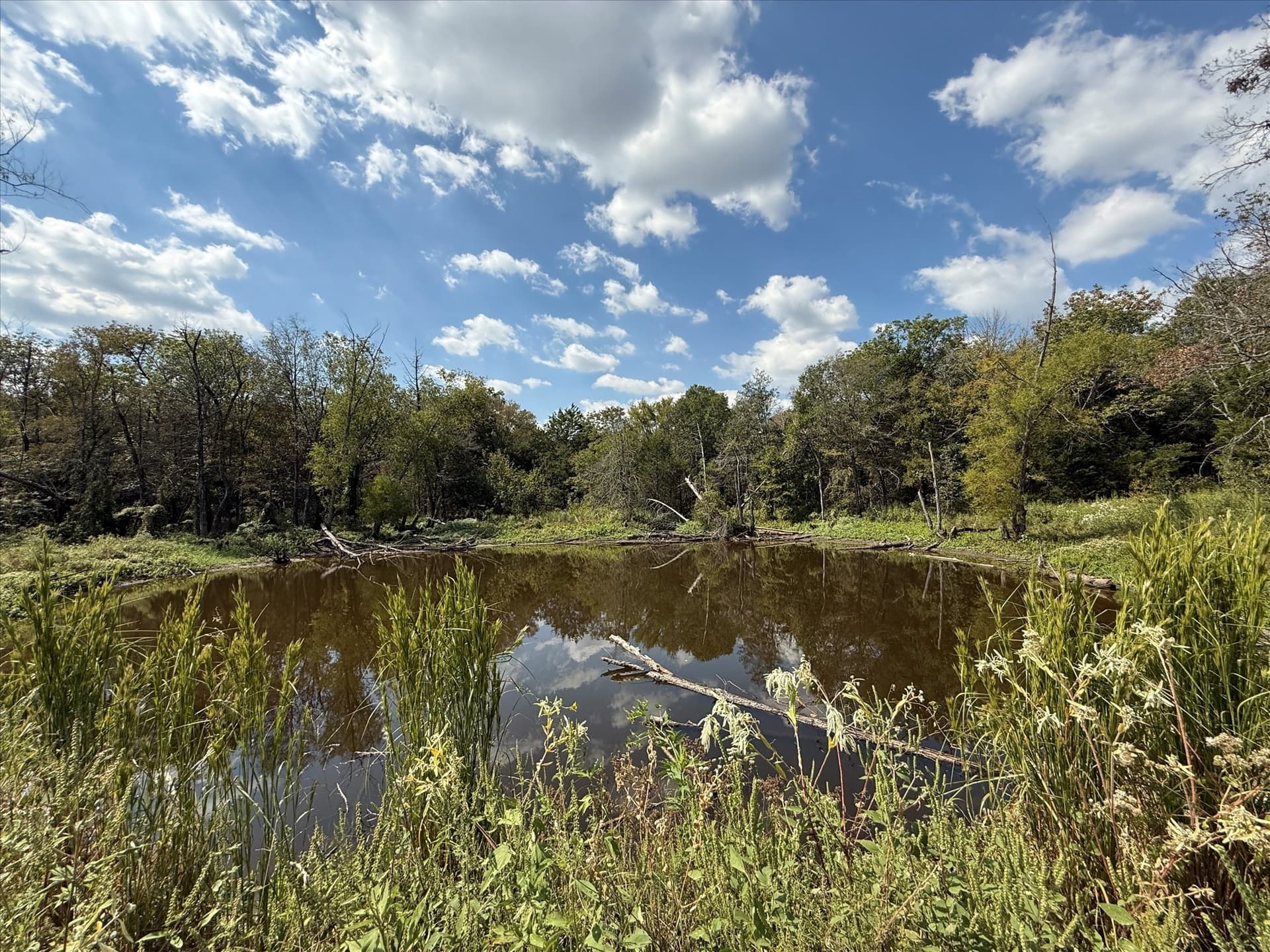 49 acres in Kaufman County gallery image 4