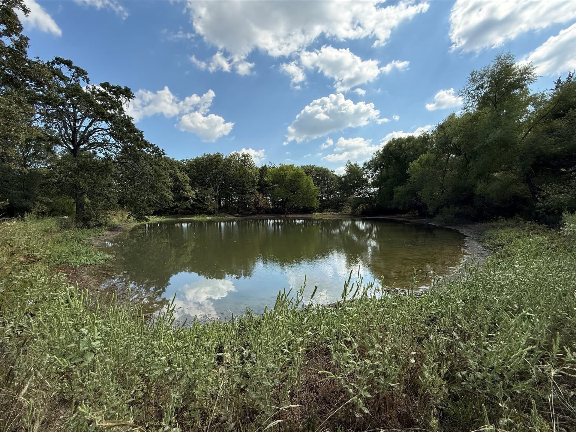 49 acres in Kaufman County - photo 12