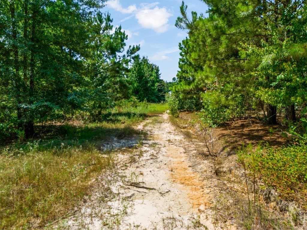 17.57 acres in Upshur County - photo 21