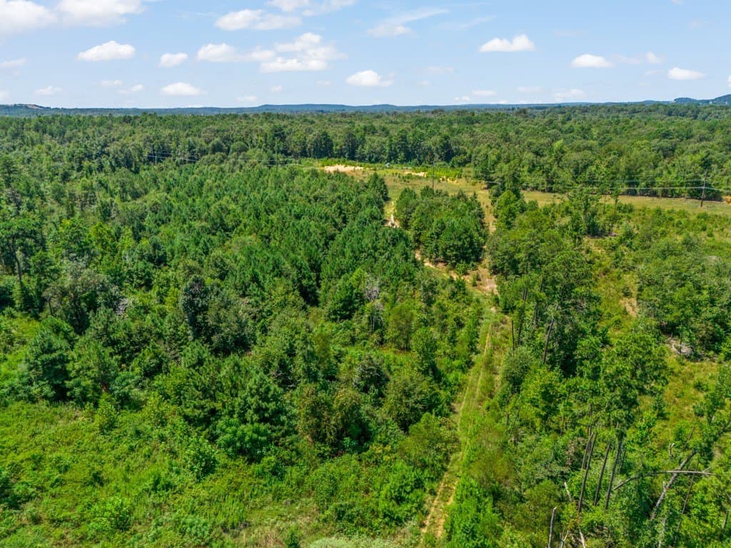 17.57 acres in Upshur County - photo 9