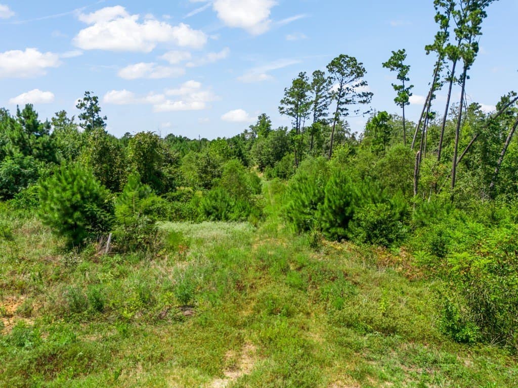 17.57 acres in Upshur County - photo 17