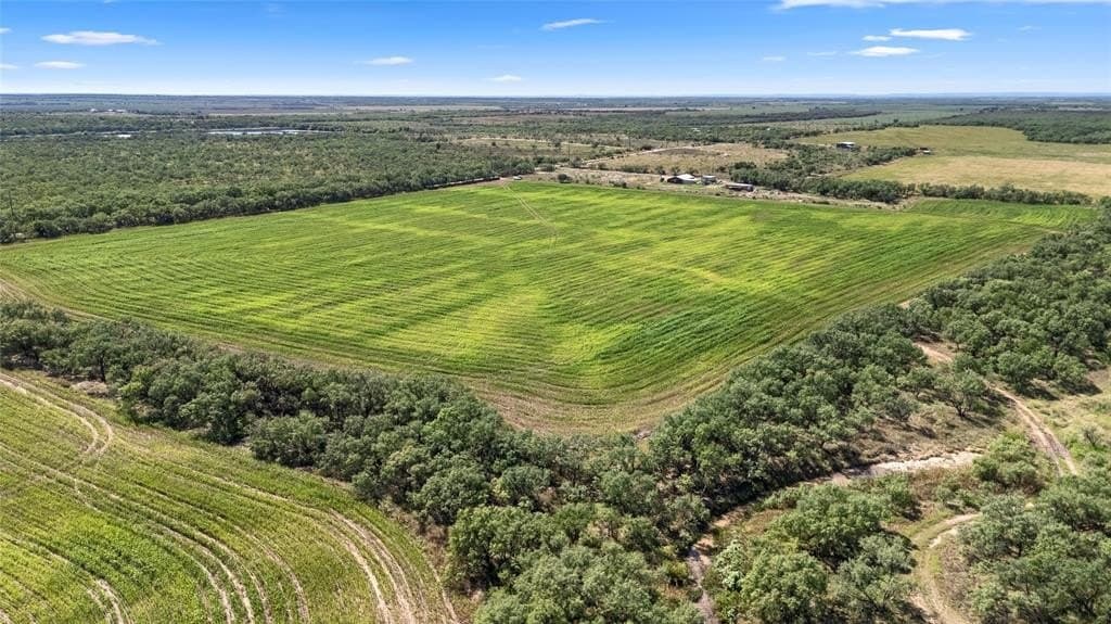 157.5 acres in Coleman County gallery image 3