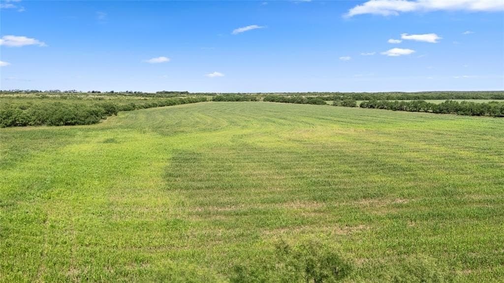 157.5 acres in Coleman County gallery image 4