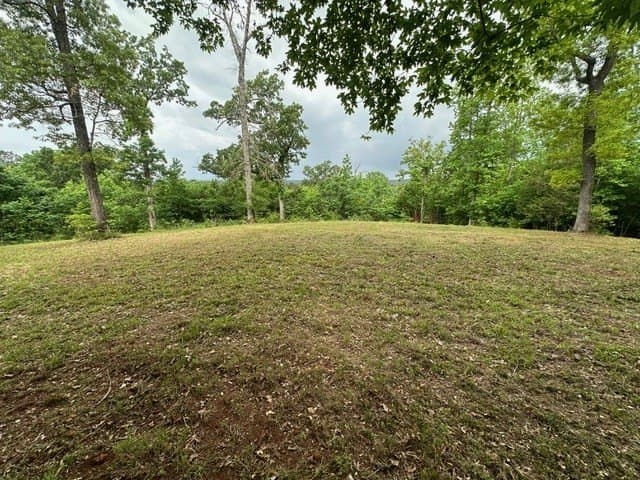 9.54 acres in CHEROKEE County gallery image 3