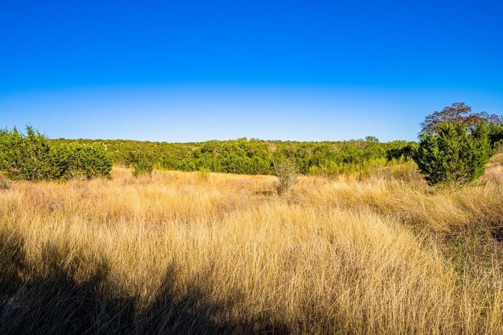 20.69 acres in Kerr County gallery image 3