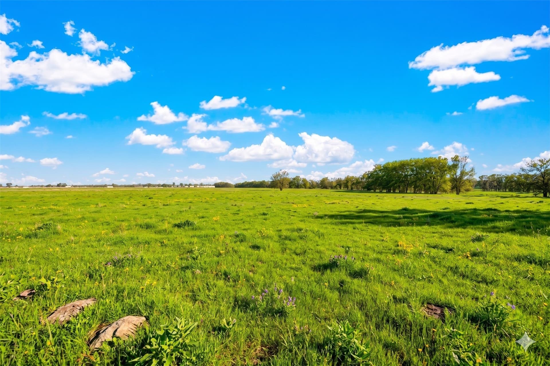 10.84 acres in Hunt County - photo 7
