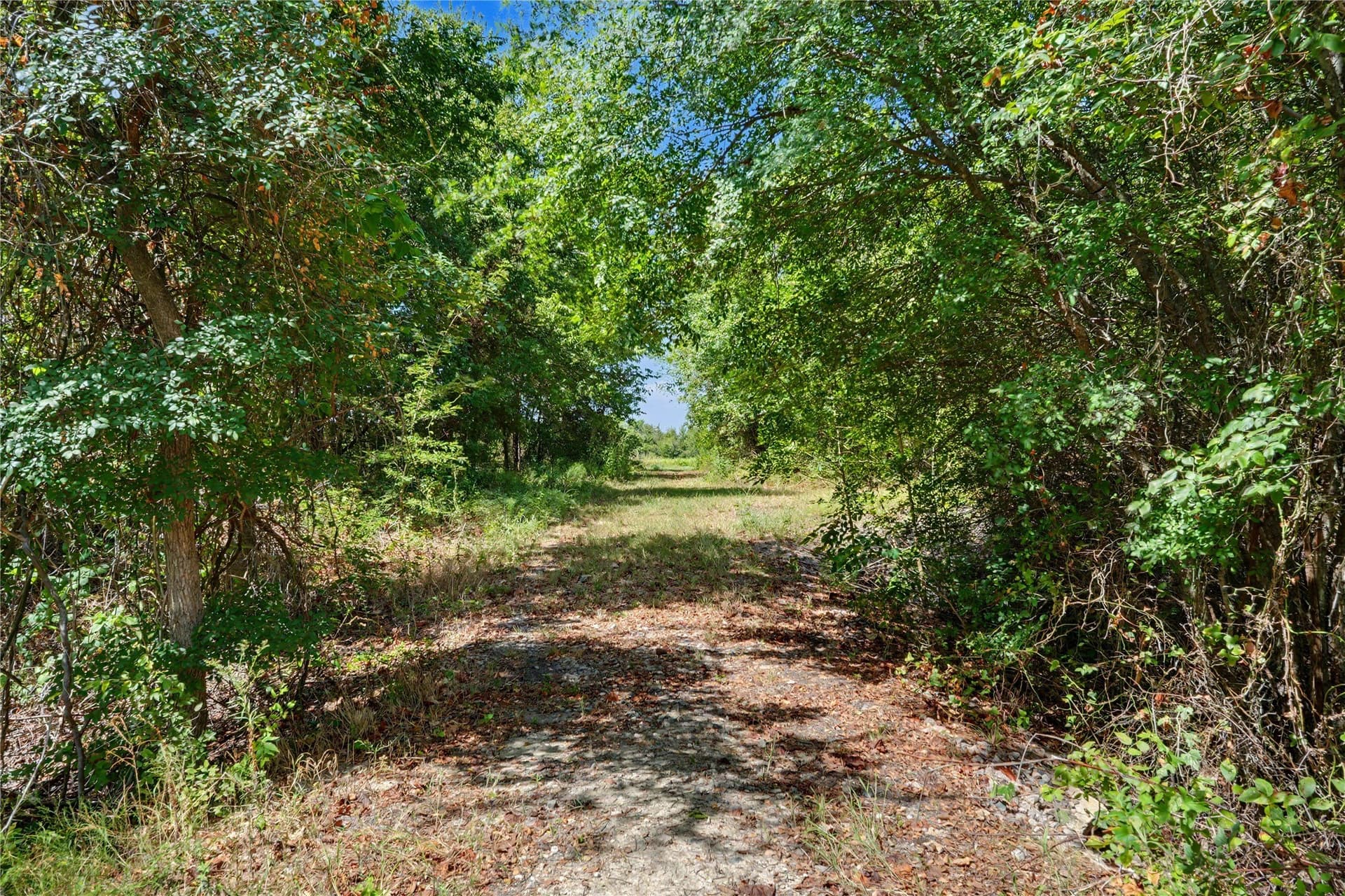 17.73 acres in Hill County - photo 15